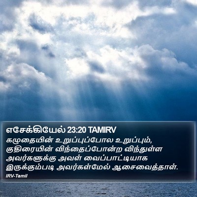 எசேக்கியேல் 23:20 TAMIRV Bible Verse Image