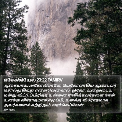 எசேக்கியேல் 23:22 TAMIRV Bible Verse Image
