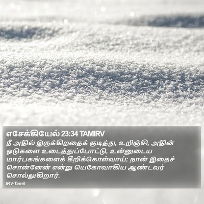 எசேக்கியேல் 23:34 TAMIRV Bible Verse Image