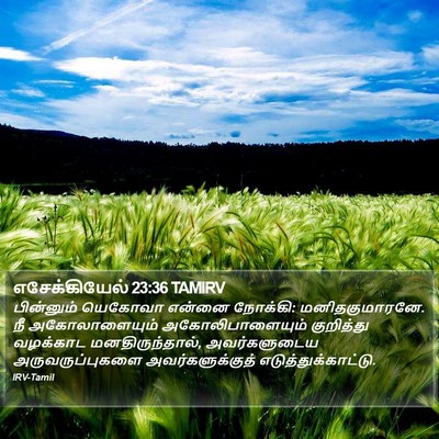 எசேக்கியேல் 23:36 TAMIRV Bible Verse Image