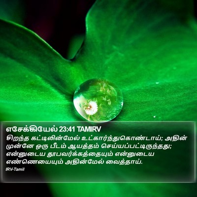 எசேக்கியேல் 23:41 TAMIRV Bible Verse Image