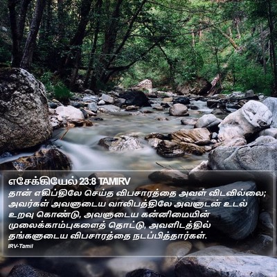 எசேக்கியேல் 23:8 TAMIRV Bible Verse Image