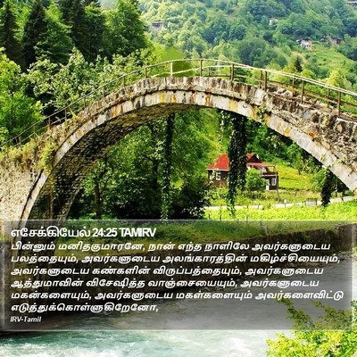 எசேக்கியேல் 24:25 TAMIRV Bible Verse Image