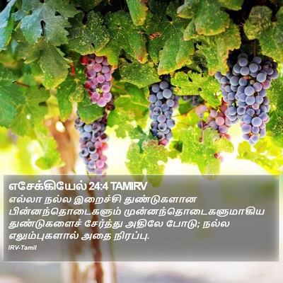 எசேக்கியேல் 24:4 TAMIRV Bible Verse Image