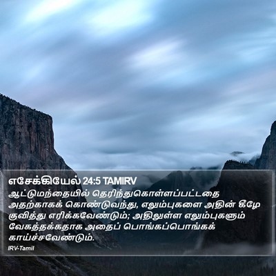 எசேக்கியேல் 24:5 TAMIRV Bible Verse Image