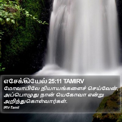 எசேக்கியேல் 25:11 TAMIRV Bible Verse Image