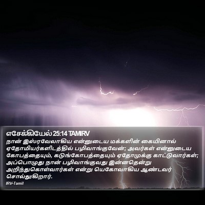 எசேக்கியேல் 25:14 TAMIRV Bible Verse Image