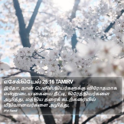 எசேக்கியேல் 25:16 TAMIRV Bible Verse Image