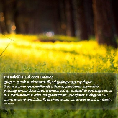 எசேக்கியேல் 25:4 TAMIRV Bible Verse Image