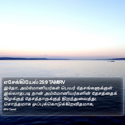 எசேக்கியேல் 25:9 TAMIRV Bible Verse Image