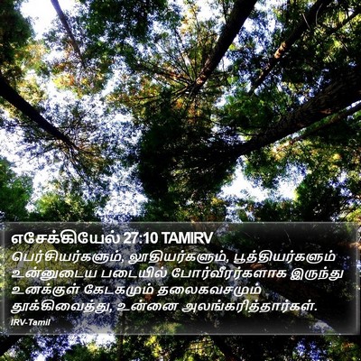 எசேக்கியேல் 27:10 TAMIRV Bible Verse Image