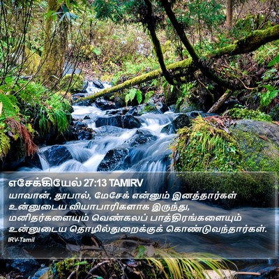 எசேக்கியேல் 27:13 TAMIRV Bible Verse Image