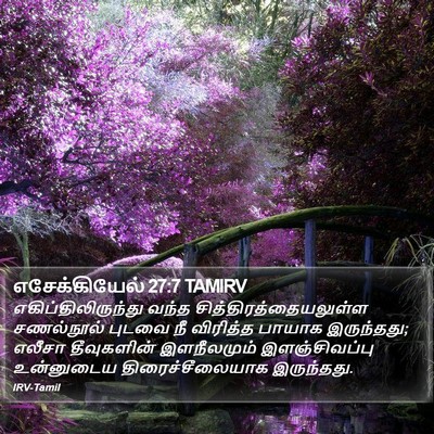 எசேக்கியேல் 27:7 TAMIRV Bible Verse Image
