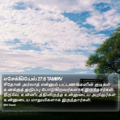 எசேக்கியேல் 27:8 TAMIRV Bible Verse Image