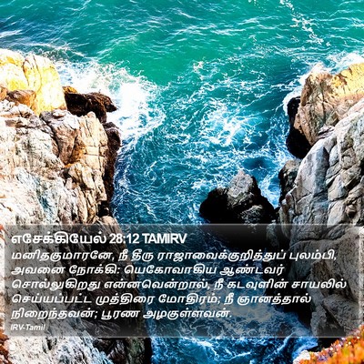 எசேக்கியேல் 28:12 TAMIRV Bible Verse Image