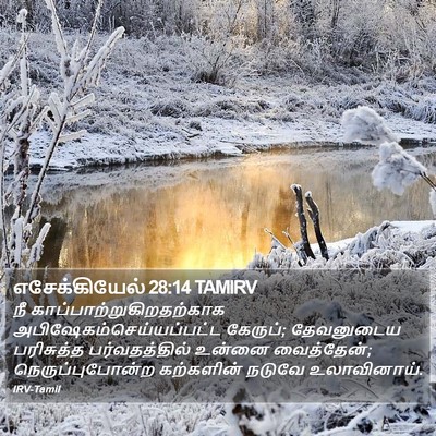 எசேக்கியேல் 28:14 TAMIRV Bible Verse Image