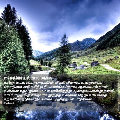 எசேக்கியேல் 28:16 TAMIRV Bible Verse Image