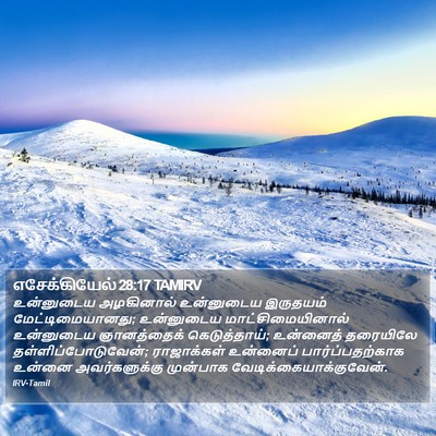 எசேக்கியேல் 28:17 TAMIRV Bible Verse Image