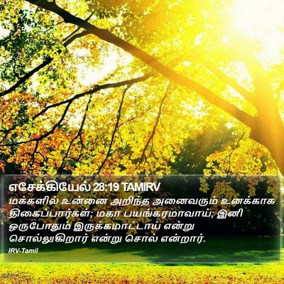எசேக்கியேல் 28:19 TAMIRV Bible Verse Image