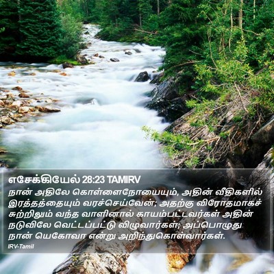 எசேக்கியேல் 28:23 TAMIRV Bible Verse Image