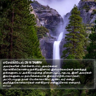 எசேக்கியேல் 29:16 TAMIRV Bible Verse Image