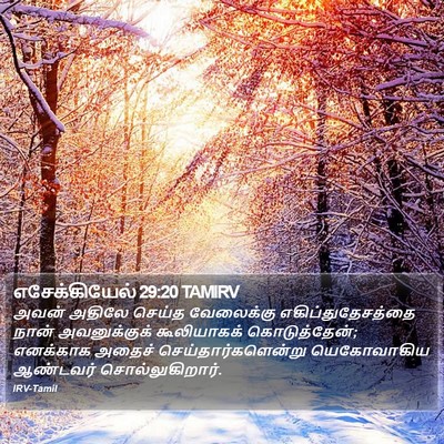 எசேக்கியேல் 29:20 TAMIRV Bible Verse Image