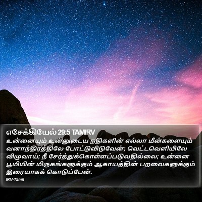 எசேக்கியேல் 29:5 TAMIRV Bible Verse Image