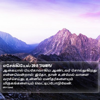 எசேக்கியேல் 29:8 TAMIRV Bible Verse Image