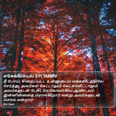 எசேக்கியேல் 3:11 TAMIRV Bible Verse Image