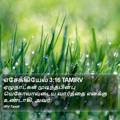எசேக்கியேல் 3:16 TAMIRV Bible Verse Image