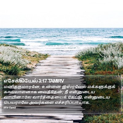 எசேக்கியேல் 3:17 TAMIRV Bible Verse Image