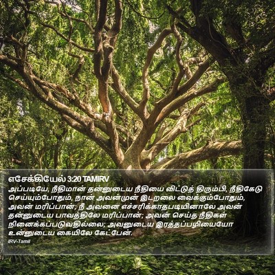 எசேக்கியேல் 3:20 TAMIRV Bible Verse Image
