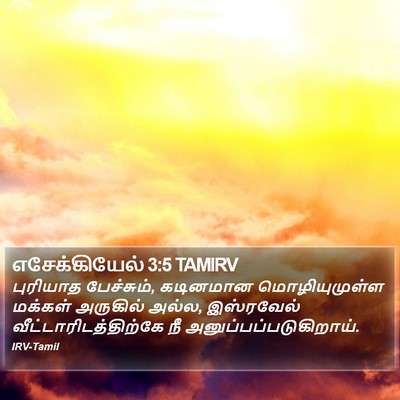எசேக்கியேல் 3:5 TAMIRV Bible Verse Image