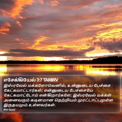 எசேக்கியேல் 3:7 TAMIRV Bible Verse Image