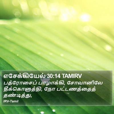 எசேக்கியேல் 30:14 TAMIRV Bible Verse Image