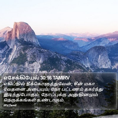 எசேக்கியேல் 30:16 TAMIRV Bible Verse Image