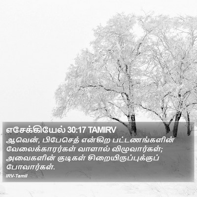 எசேக்கியேல் 30:17 TAMIRV Bible Verse Image