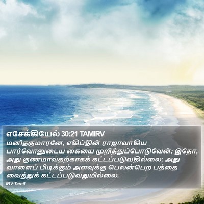 எசேக்கியேல் 30:21 TAMIRV Bible Verse Image