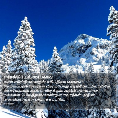 எசேக்கியேல் 30:4 TAMIRV Bible Verse Image