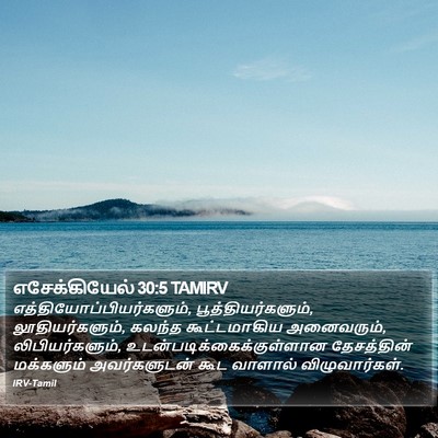 எசேக்கியேல் 30:5 TAMIRV Bible Verse Image