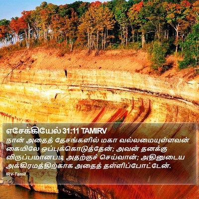 எசேக்கியேல் 31:11 TAMIRV Bible Verse Image