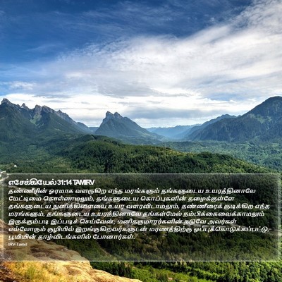 எசேக்கியேல் 31:14 TAMIRV Bible Verse Image