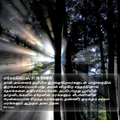 எசேக்கியேல் 31:16 TAMIRV Bible Verse Image