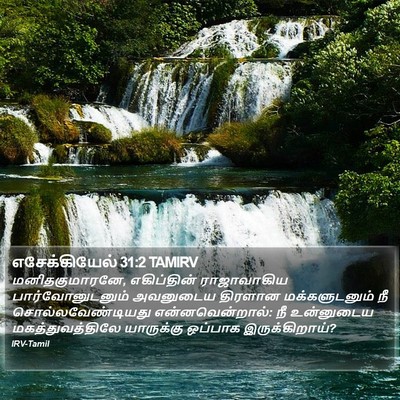 எசேக்கியேல் 31:2 TAMIRV Bible Verse Image