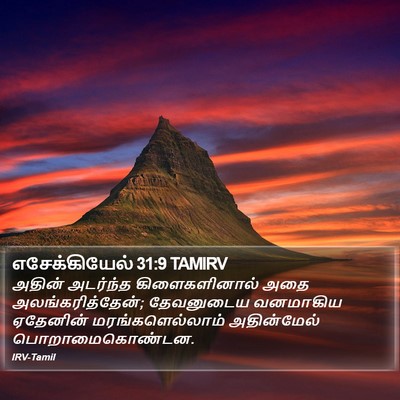 எசேக்கியேல் 31:9 TAMIRV Bible Verse Image