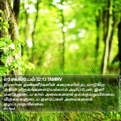 எசேக்கியேல் 32:13 TAMIRV Bible Verse Image