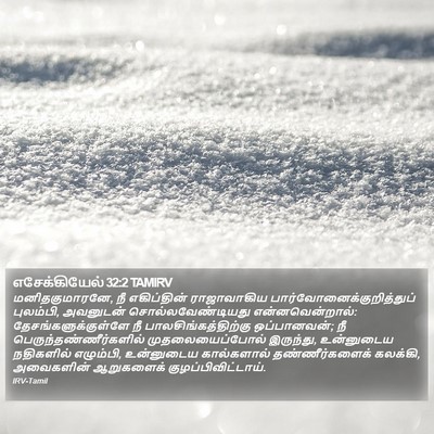 எசேக்கியேல் 32:2 TAMIRV Bible Verse Image