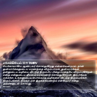 எசேக்கியேல் 33:11 TAMIRV Bible Verse Image