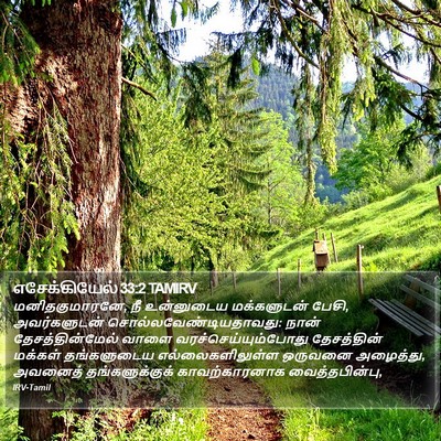 எசேக்கியேல் 33:2 TAMIRV Bible Verse Image