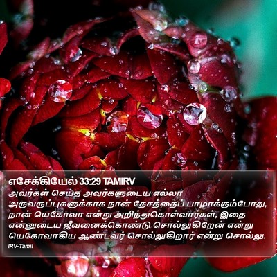 எசேக்கியேல் 33:29 TAMIRV Bible Verse Image